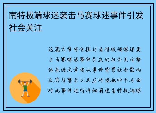 南特极端球迷袭击马赛球迷事件引发社会关注